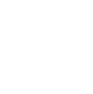 LN Sauce Logo